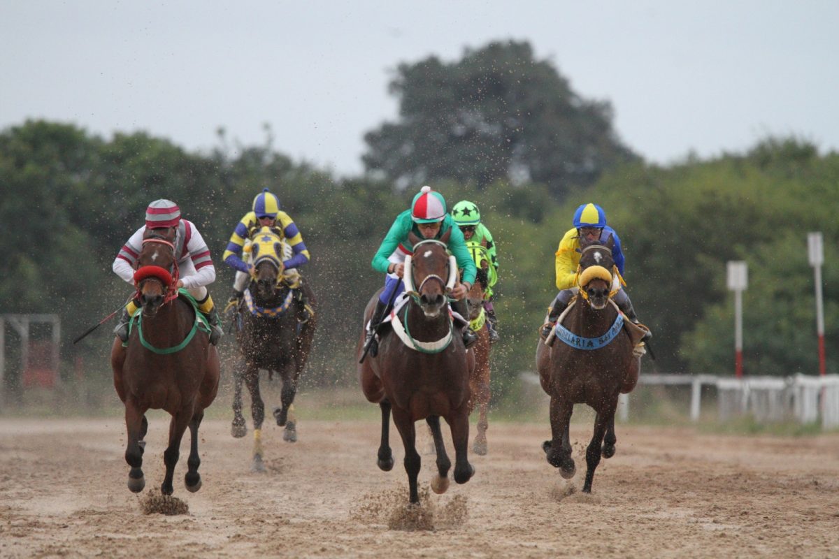 Jóquei de 19 anos vence três páreos em abertura da temporada do Jockey Club