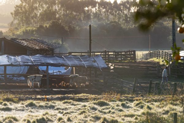 Temperatura deve chegar a 0ºC na terça-feira