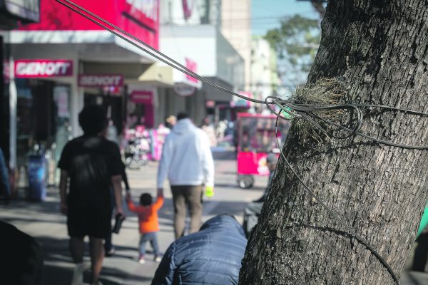 “Lei dos fios” ainda não está sendo fiscalizada em Pelotas