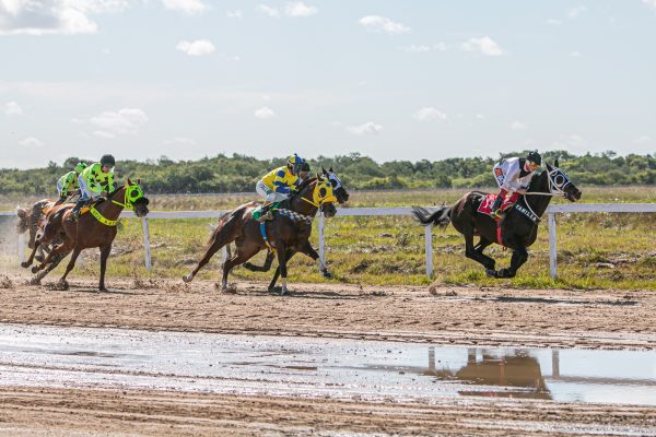 Jockey Club abre nova temporada neste domingo