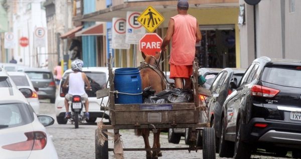 Charretes serão proibidas em Pelotas