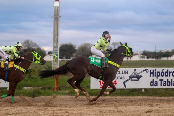 Honest Bird rouba a cena e ganha clássico no Jockey Club