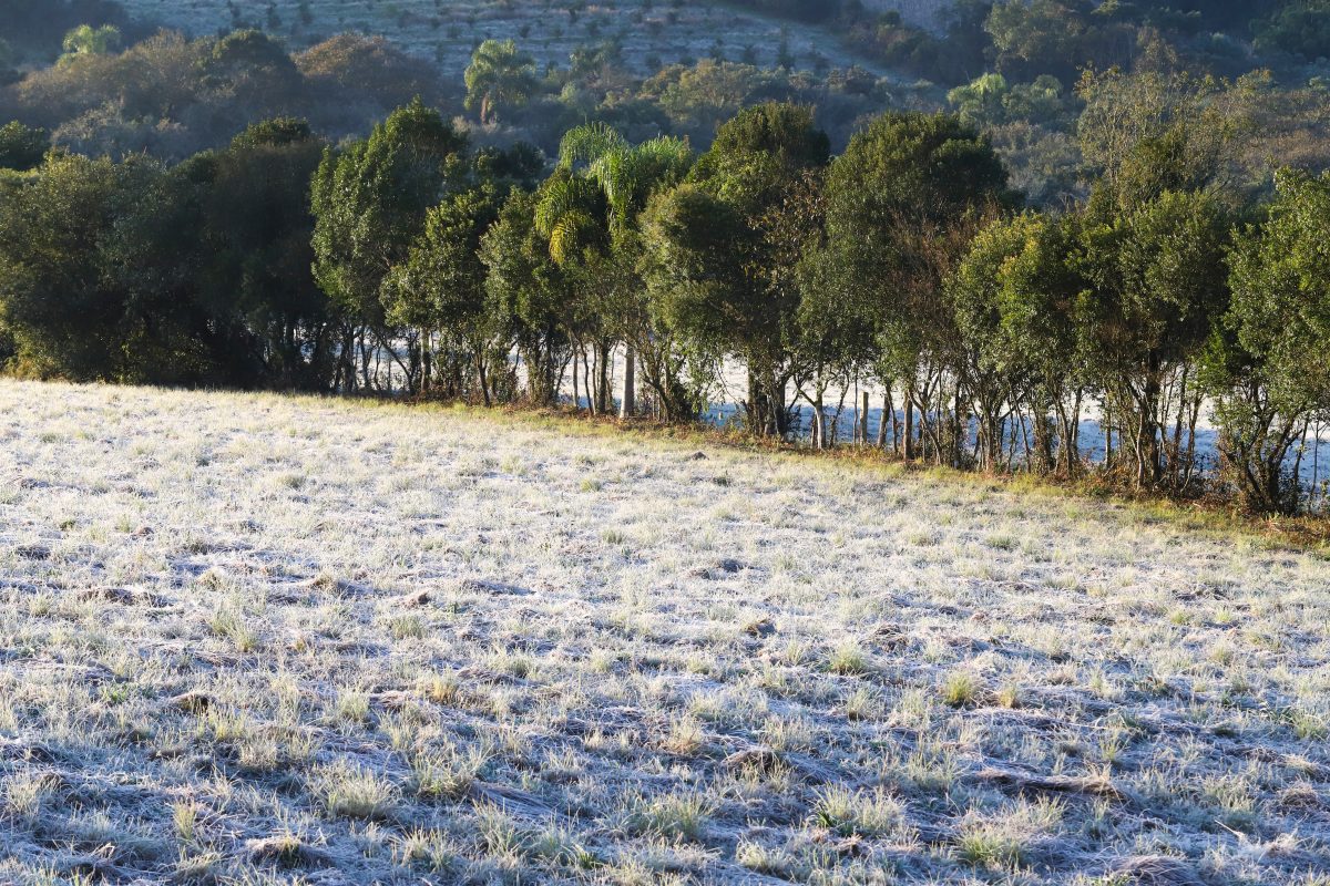 Temperatura se mantém baixa na Zona Sul nesta terça