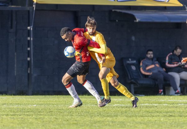 Veja quais clubes já estão garantidos na Série D de 2025