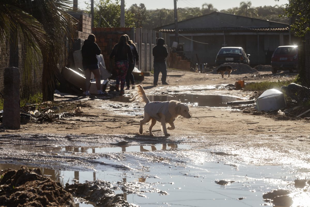 Zona Sul recebe mais de R$ 16 milhões em repasse para as defesas civis