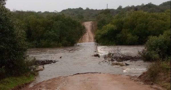 Chuva e vento provocam estragos na Zona Sul