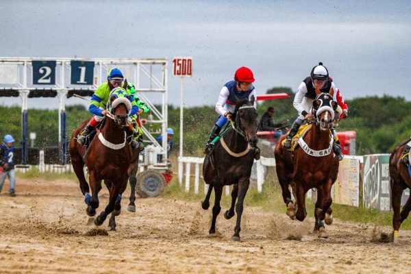 Domingo é dia de reta no Jockey Club de Pelotas