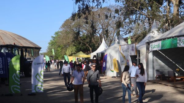 85ª Expofeira de Arroio Grande começa na próxima terça-feira