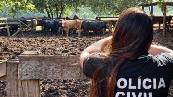 Entidades cobram reforço na segurança do campo