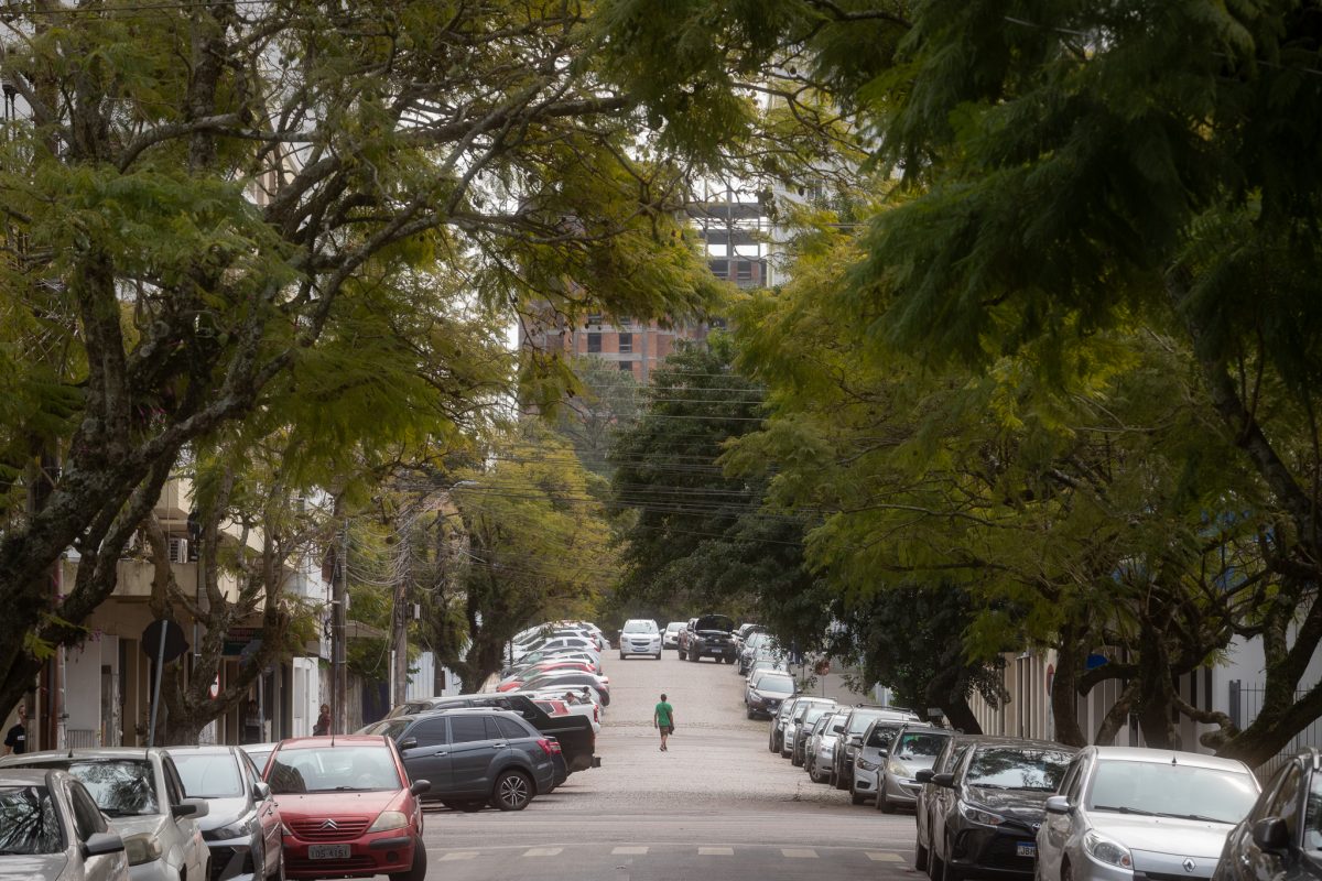 Como tornar Pelotas uma cidade mais arborizada?