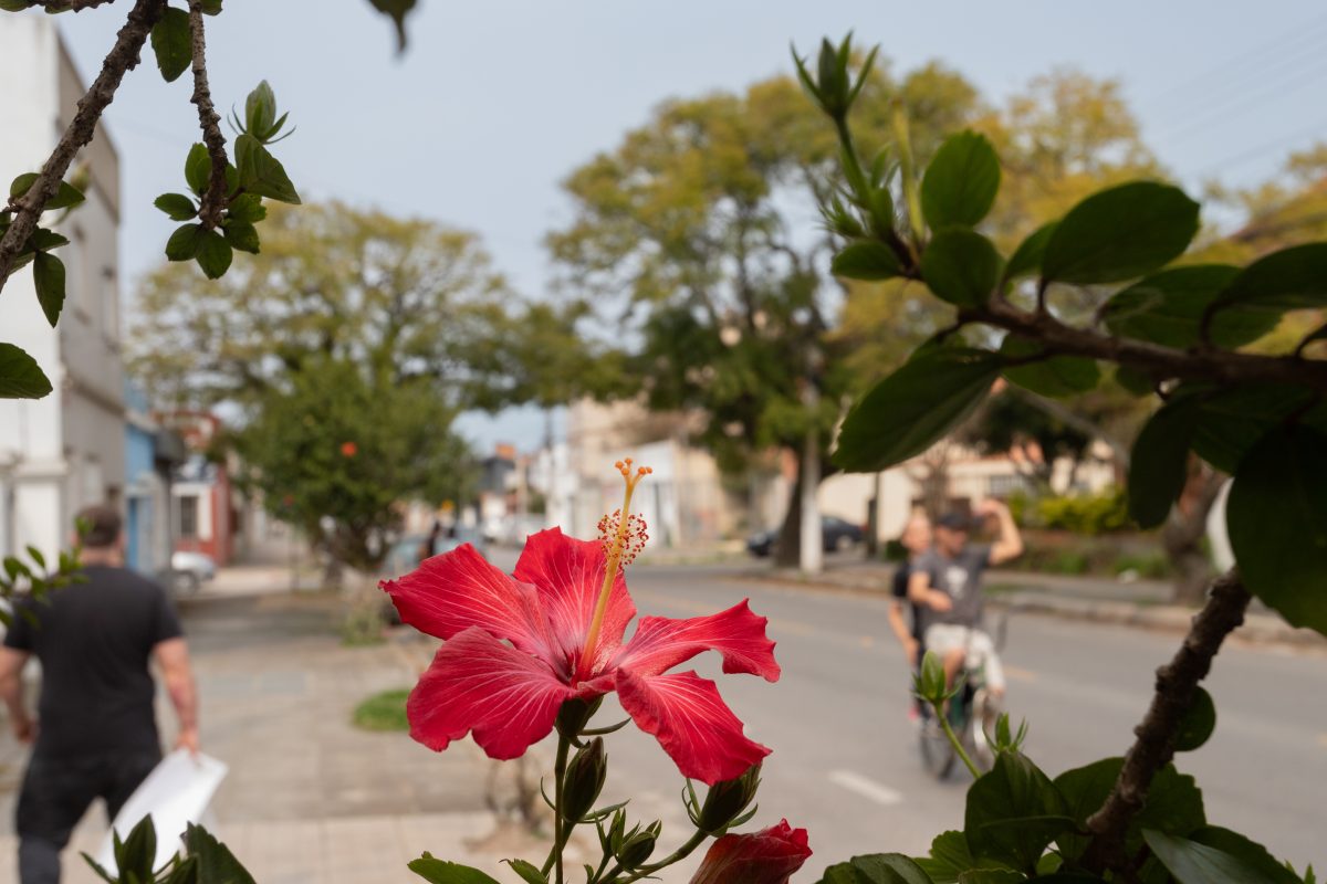 Primavera começa no domingo com pouca influência do La Niña