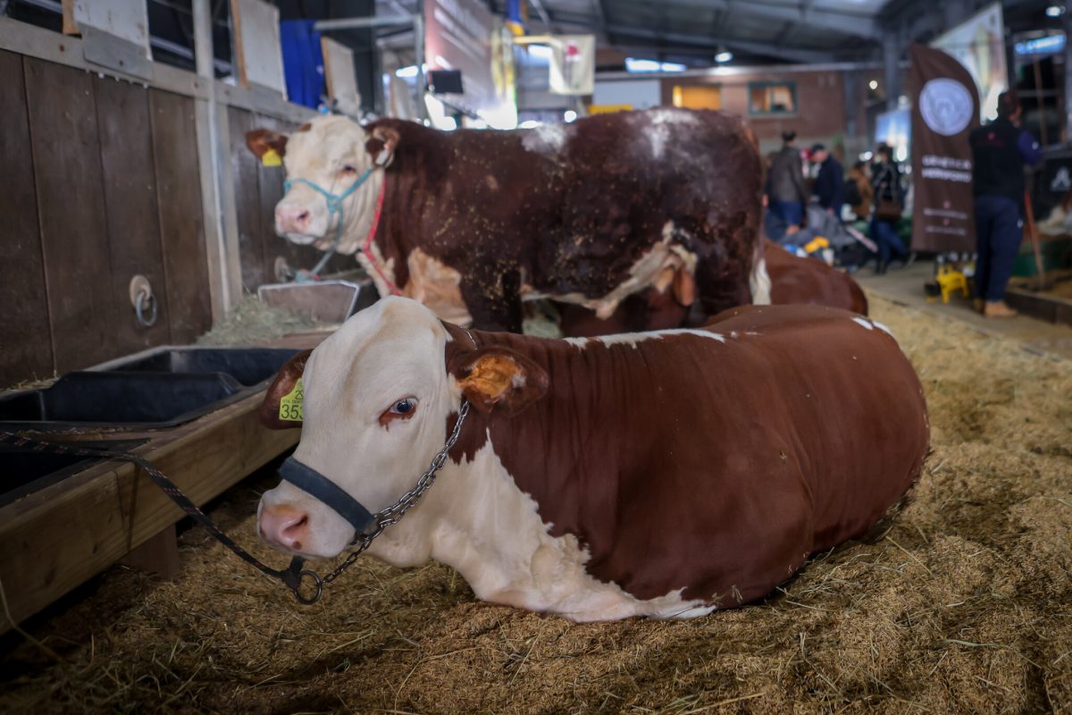 Expointer chega ao fim com R$ 8 bilhões em vendas totais