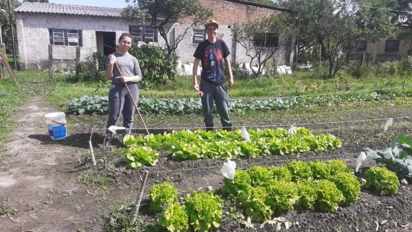 Tema ambiental ganha destaque nas séries iniciais de ensino