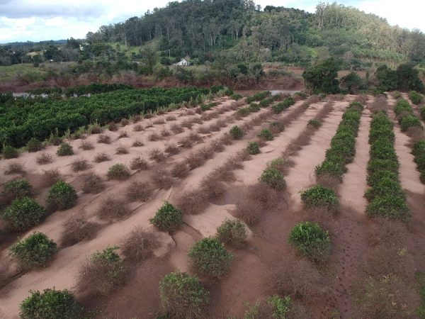 Oficina da Embrapa orienta sobre ações  de recuperação rural no RS