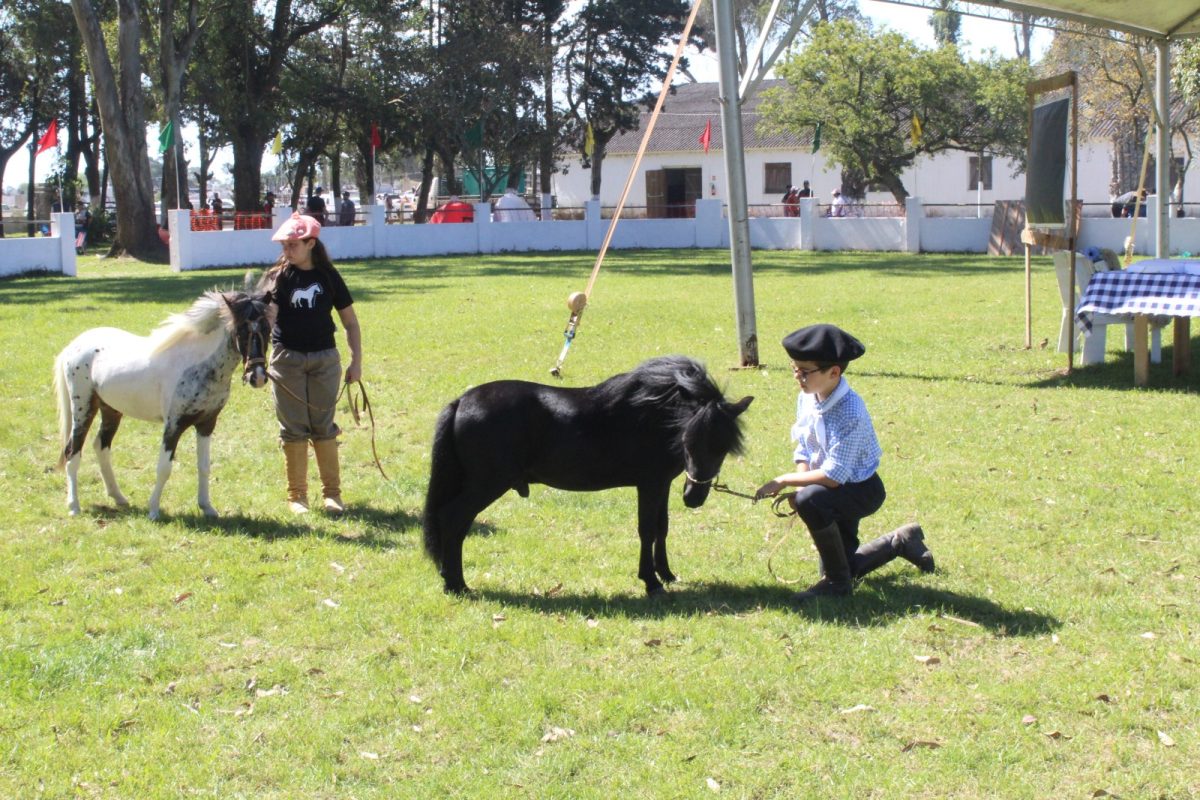 93ª Expofeira de Santa Vitória do Palmar atinge R$ 3 milhões em vendas