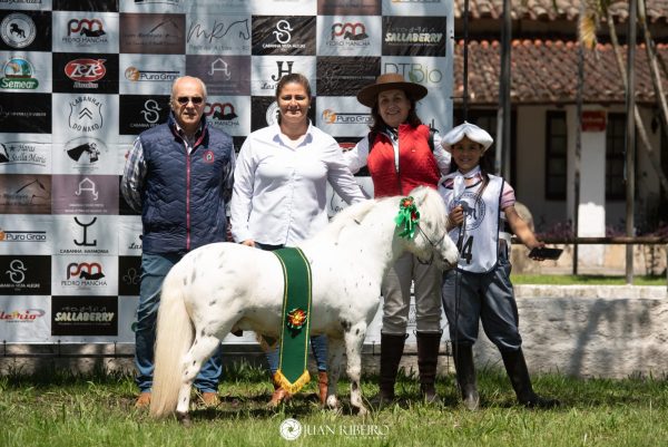 Expofeira de Pelotas comercializa quase R$ 1,5 milhão em leilões no último dia