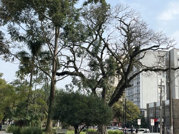 Quinta-feira será de tempo bom e temperatura em elevação