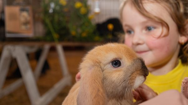 Dia das Crianças de conexão com animais e a vida no campo