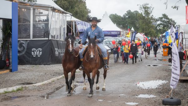 Expectativa de grande público nos últimos dias da Expofeira