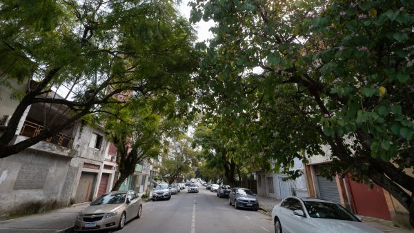 Pelotas recebe 15º Fórum Gaúcho de Arborização