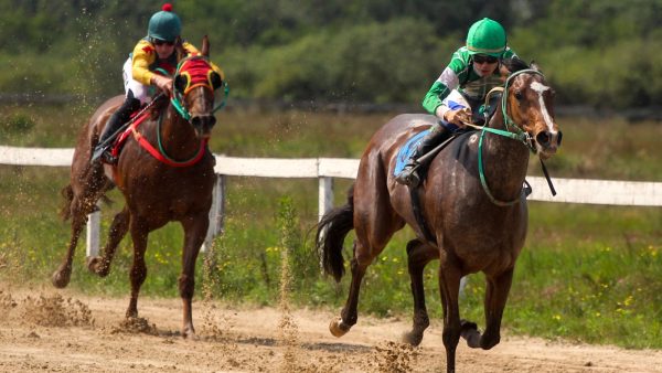 Jockey Club promove três páreos no domingo