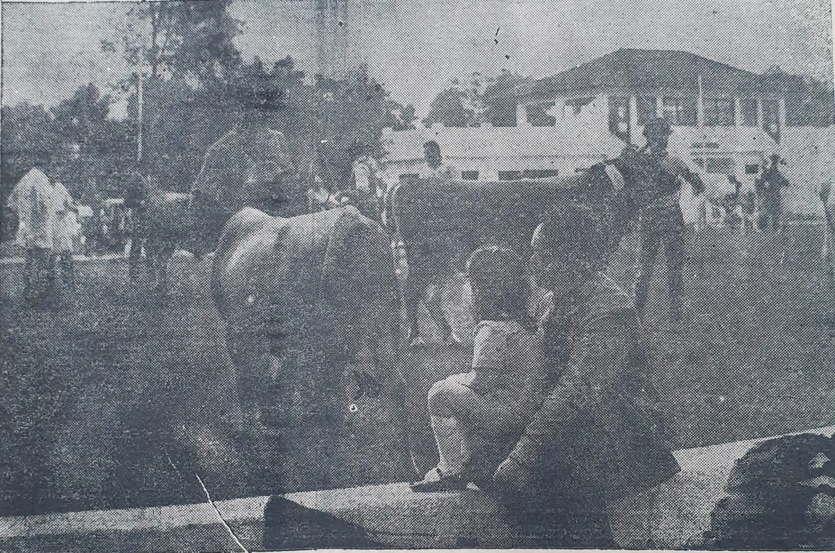 48ª Expofeira movimenta a Associação Rural de Pelotas