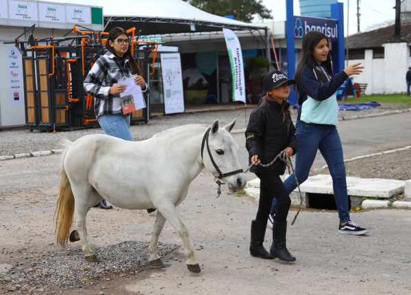 Criadores de Pônei integram programação da 98º Expofeira de Pelotas