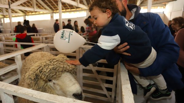 Programação da Conferência Rural da 98º Expofeira abre com Simpósio de Ovinocultura