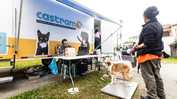 Procedimentos no Castramóvel começam nesta quarta-feira