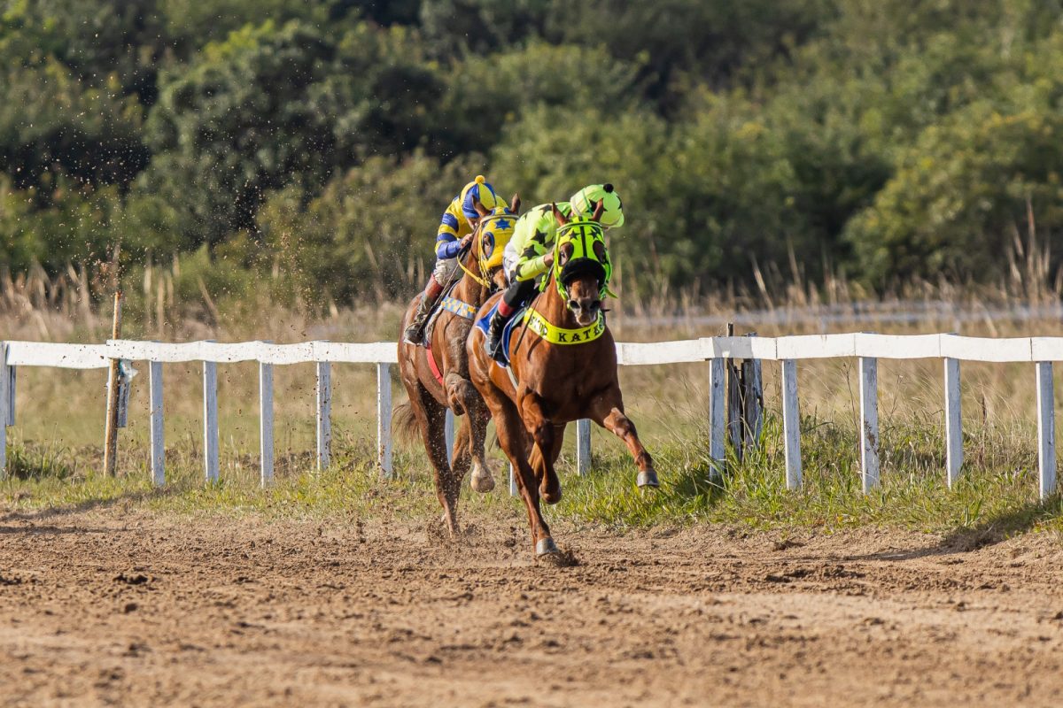 Sábado é dia de corridas no Jockey Club