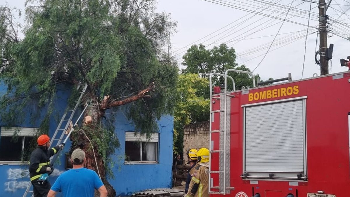 Pancadas de chuva e vento forte causam estragos na Zona Sul