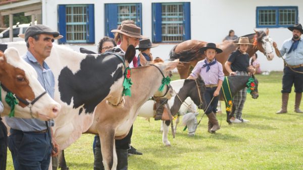 Desfile dos Campeões celebra último dia da 50ª Expofeira do Rio Grande