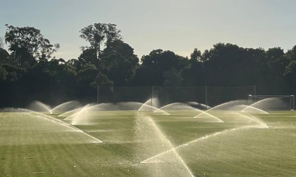 Pré-temporada do Brasil será na Arena Marini