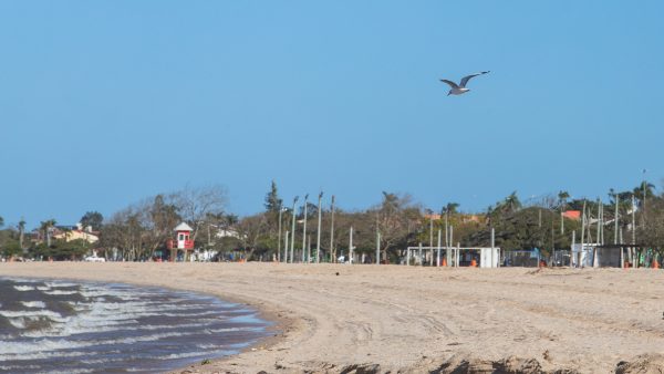 Hora de acelerar