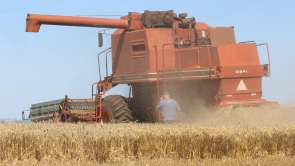 Inadimplência atinge 4,8% da população rural no Estado