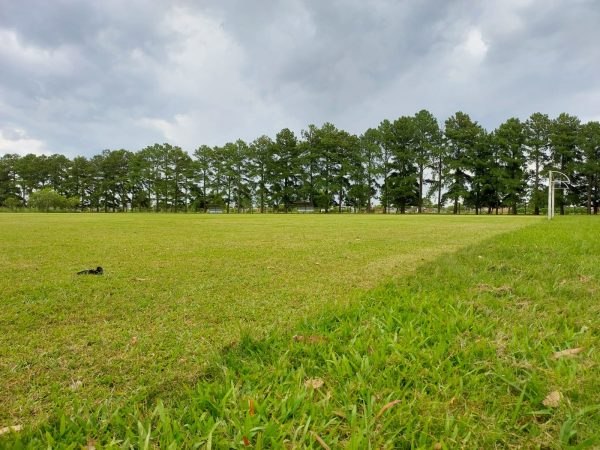 Parque Lobão já recebe atividades da pré-temporada do Pelotas