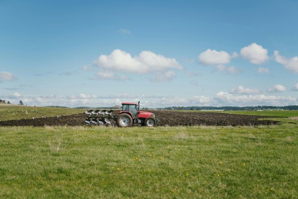 CMN prorroga crédito rural de produtores afetados por enchentes no RS