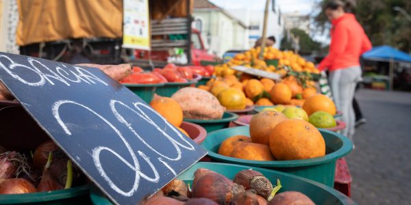 Isenção de ICMS para hortifrutigranjeiros contribui para preservação de produtores