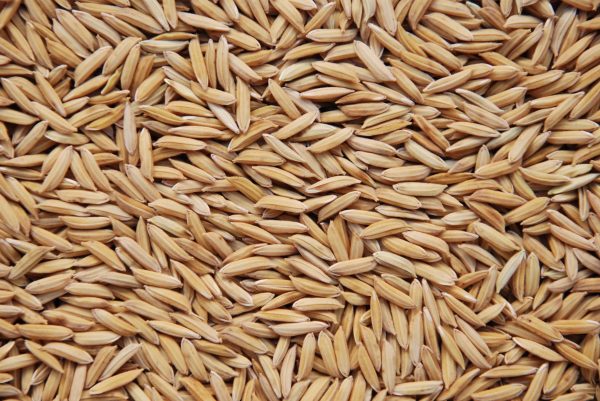 Conab realizará leilões de contrato de opção de venda de arroz