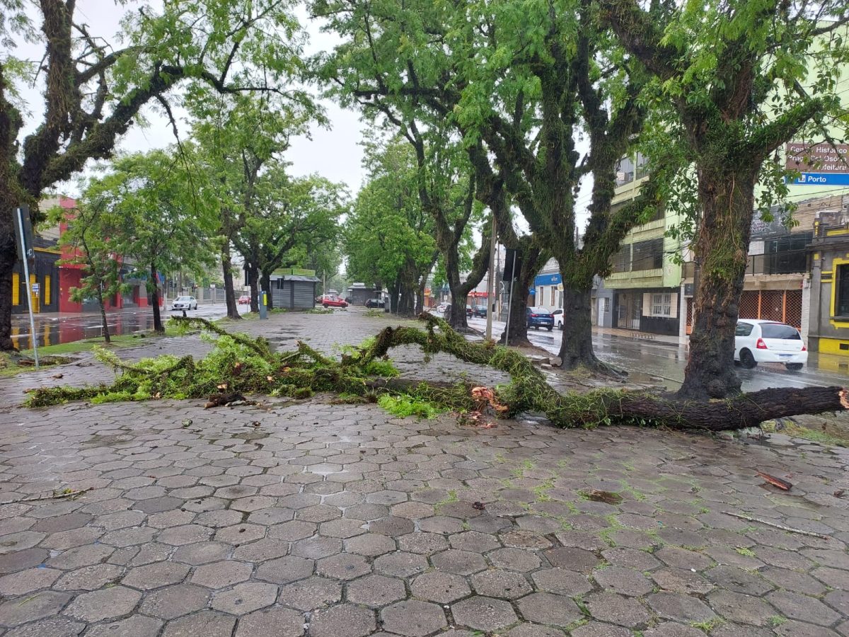 Ciclone subtropical Biguá atinge a região Sul com fortes rajadas de vento