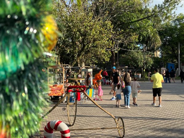 Público aproveita Natal para visitar ponto turístico de Pelotas