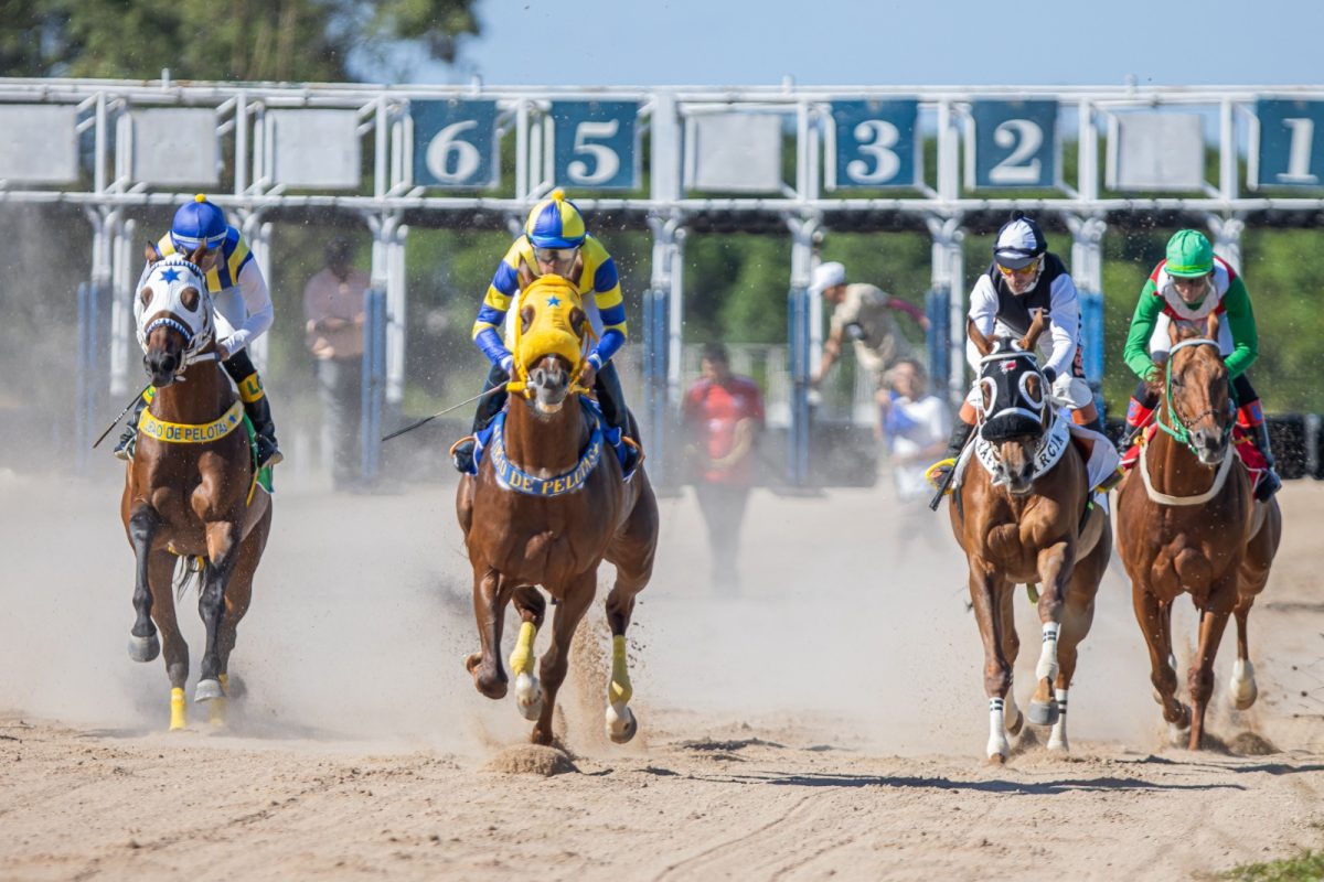 Domingo é dia de clássico no Jockey Club de Pelotas