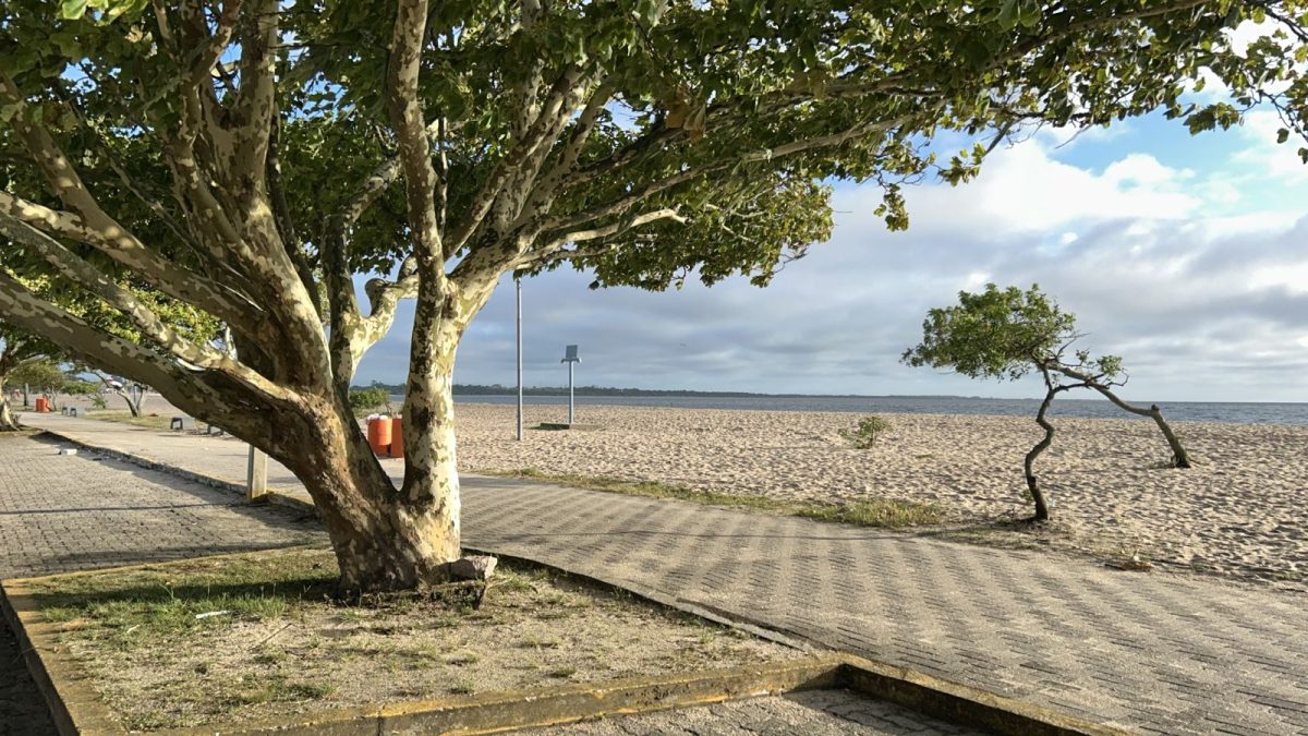 Manhã de céu nublado na Zona Sul e previsão de mais chuva