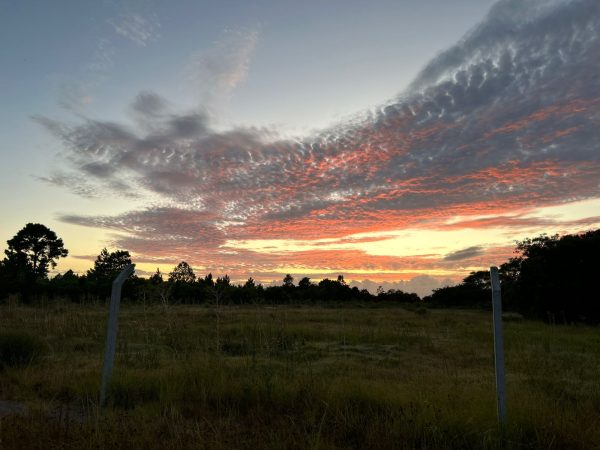 Previsão de tempo bom e temperatura amena em Pelotas