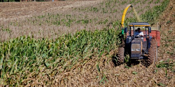 Falta de mão de obra no campo limita expansão de produtividade