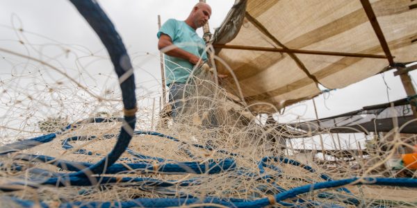 À espera do vento Sul, safra do camarão deve ser tardia