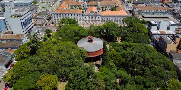 Somente 14% da região central de Pelotas é coberta por vegetação