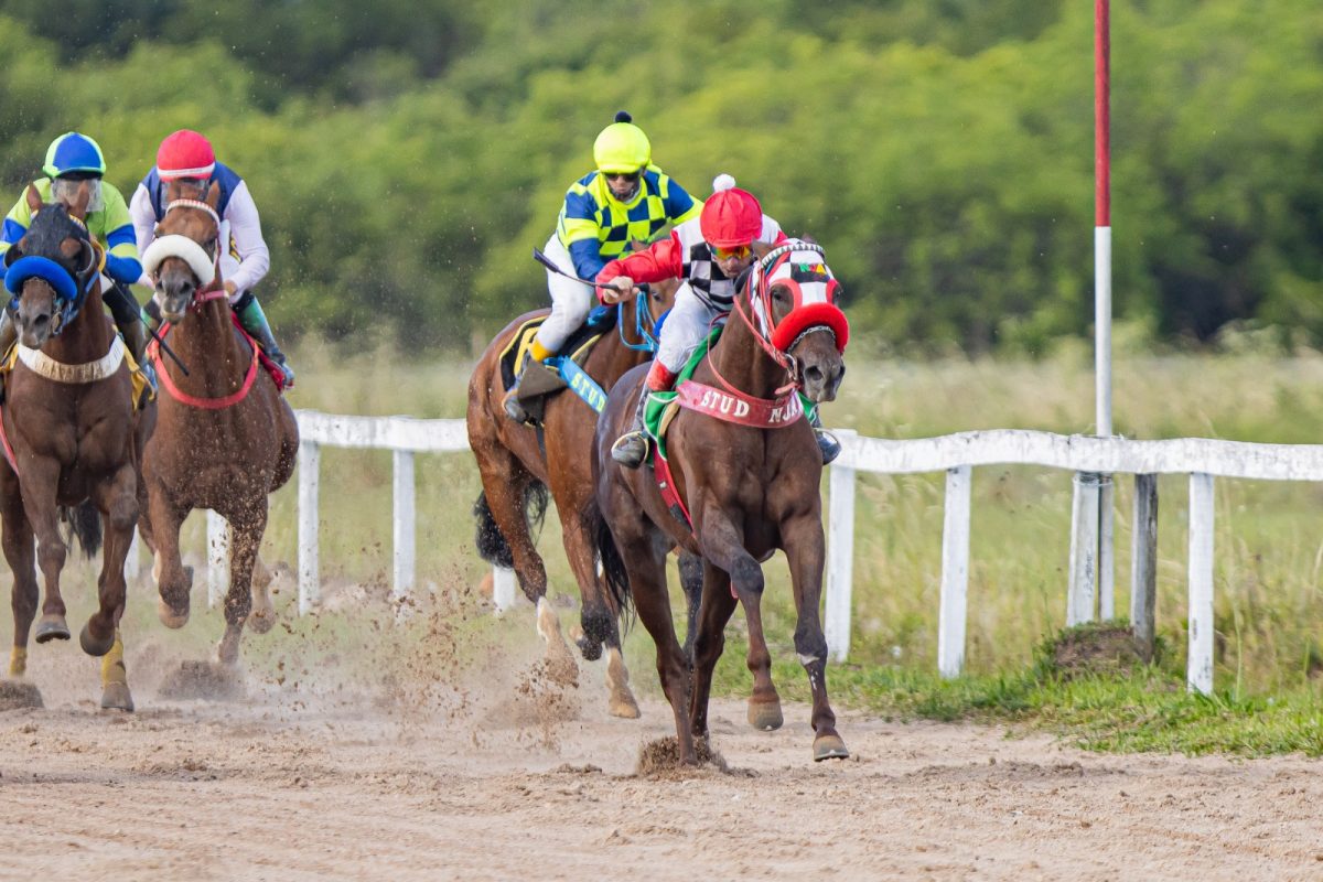 Jockey Club reabre temporada com provas de velocidade