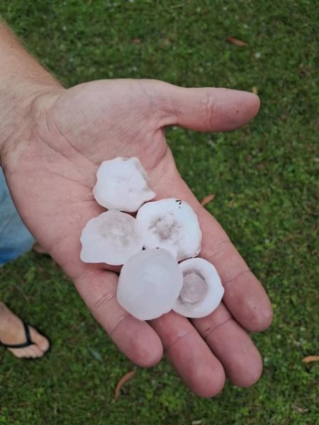 Temporal em Canguçu causa prejuízo para produtores de fumo