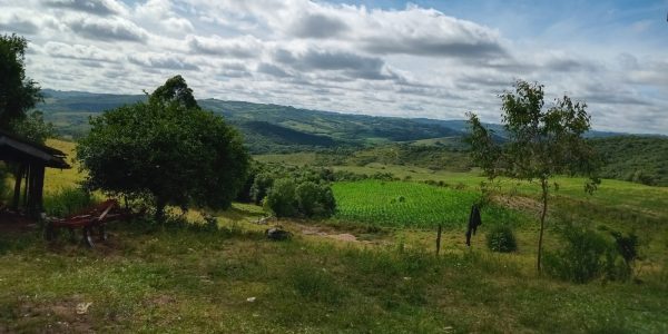 Domingo de tempo bom e temperatura agradável